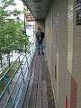 IMG_0031.JPG